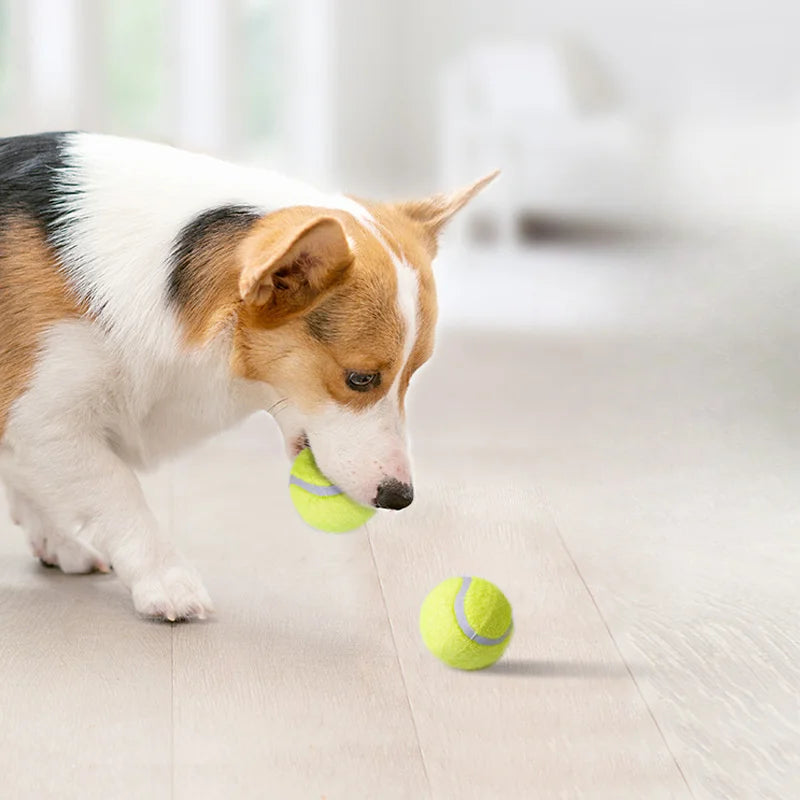 Interactive Striped Rubber Tennis Dog Chew Toy - High Elasticity Battery-Free Play Ball, for Small Dogs Outdoor Play ﻿