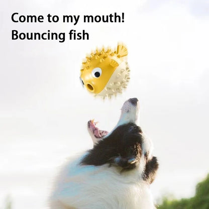 Bouncing Fish Dog Toys Relieve Boredom Molar Bite Resistant Missing Food Speak Out Elasticity Dog Play Cute Puzzle Fish Toy