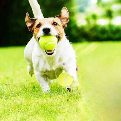 Interactive Striped Rubber Tennis Dog Chew Toy - High Elasticity Battery-Free Play Ball, for Small Dogs Outdoor Play ﻿