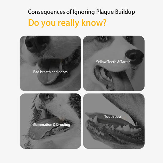 Bouncing Fish Dog Toys Relieve Boredom Molar Bite Resistant Missing Food Speak Out Elasticity Dog Play Cute Puzzle Fish Toy