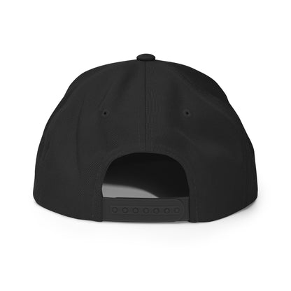 Classic Embroidered Snapback Cap, in Black, back view