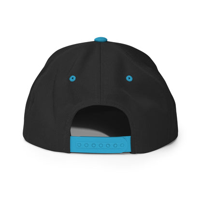 Classic Embroidered Snapback Cap, in Black Teal, back view